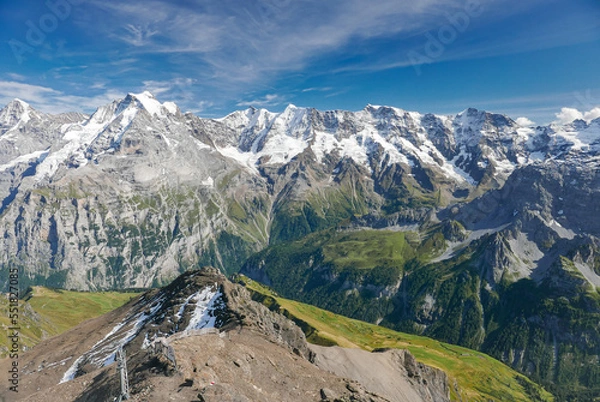 Obraz swiss mountains  alps in the summer jungfrau