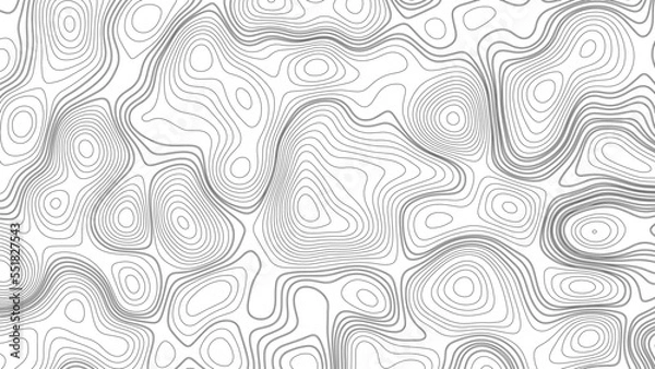 Fototapeta Abstract topography map, vector background.
Background of the topographic map. Topographic map lines.
Vector contour topographic map background.