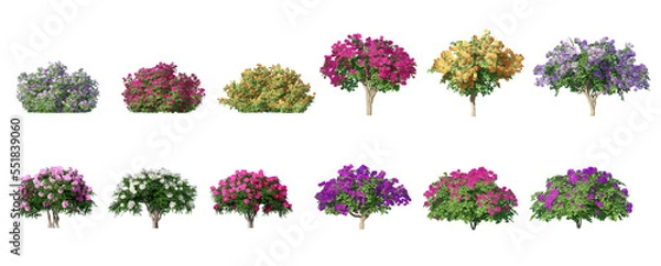 Fototapeta Collection of 3D flowers Trees Isolated on PNGs transparent background , Use for visualization in architectural design	
