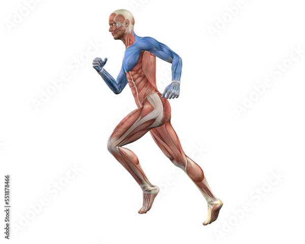 Fototapeta Arm Lines