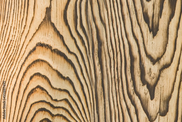 Obraz Light wood surface with natural black charred burnt patterns design decorative decoration decor texture timber background