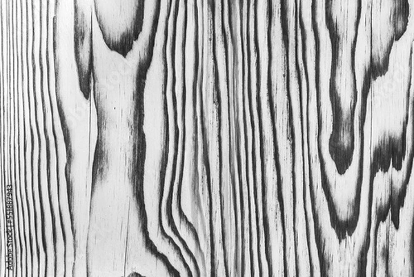 Obraz Light white grey wood surface with natural black charred burnt patterns design decorative decoration decor texture timber background