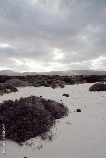 Obraz Beach on Lanzarote island, Canary Islands, Spain