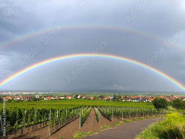 Obraz Regenbogen in der Pfalz