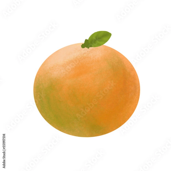 Fototapeta Orange fruit wirh leaf