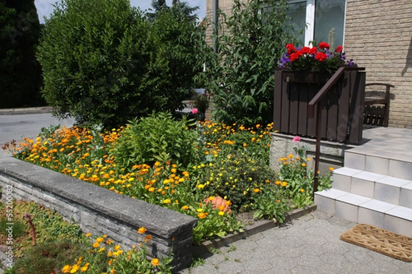 Fototapeta Vorgarten mit Ringelblumen