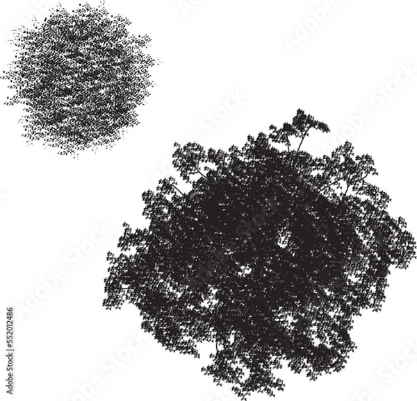 Obraz Tree top view vector art on isolated white background