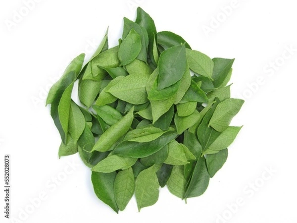 Obraz Curry leaves on white background 