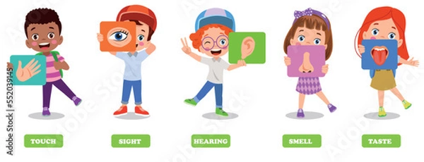 Fototapeta Five Senses Concept With Human Organs