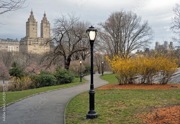 Fototapeta Central Park in spring