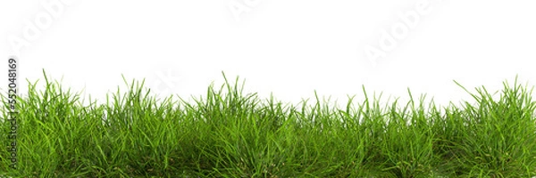Obraz Naturalna świeża zielona trawa wycięta tła rendering 3D