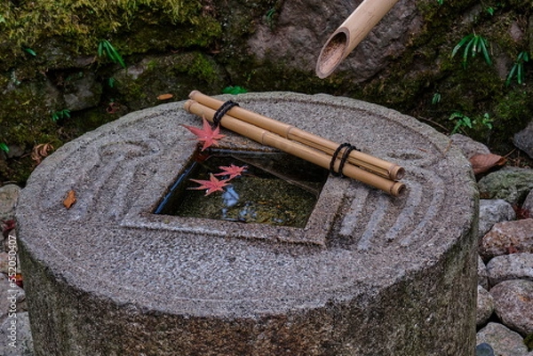 Obraz 落ちた紅葉