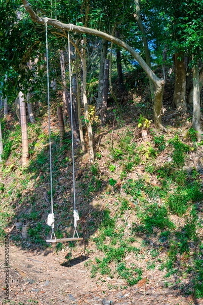 Obraz 山の中のブランコ