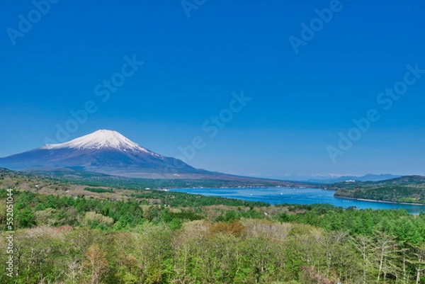 Obraz 富士山　山中湖