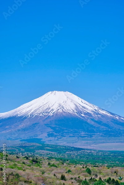 Obraz 富士山　平原