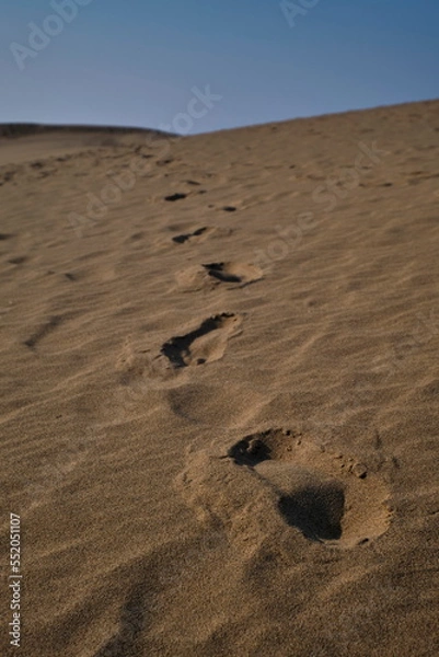 Obraz 砂丘の足跡