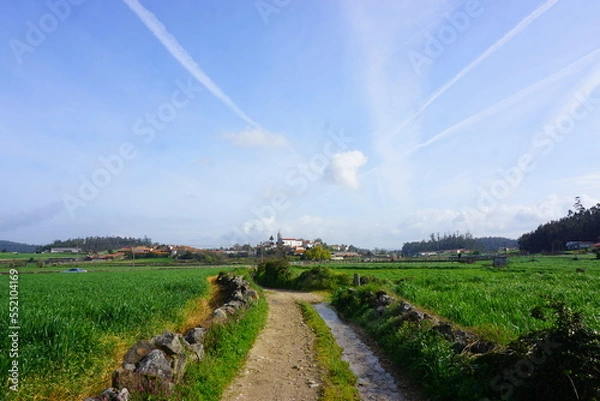 Obraz 自然が美しいヨーロッパの田舎の町