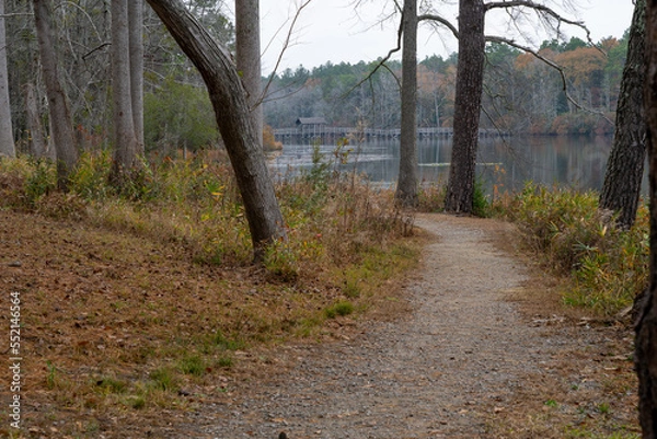 Fototapeta Walking path next to a lake