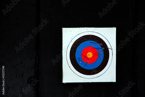 Fototapeta Target archery and Many arrow.