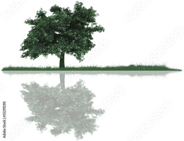 Obraz Tree, grass and reflection
