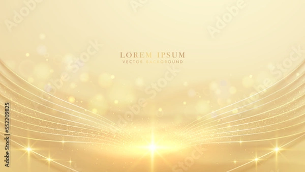 Fototapeta Luxury background with golden lines, sparkle glowing effect and bokeh decoration. Elegant style design concept