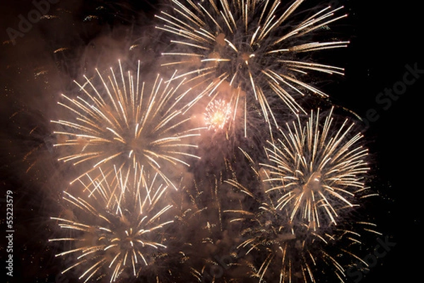 Obraz Feu d'artifice