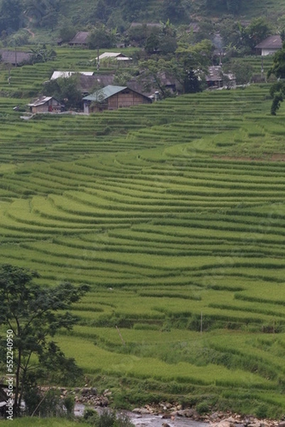 Fototapeta landscape with fields