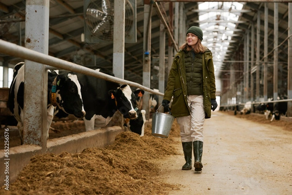 Obraz Female farmer with bucket walking along big barn, she feeding the herd of cows on farm