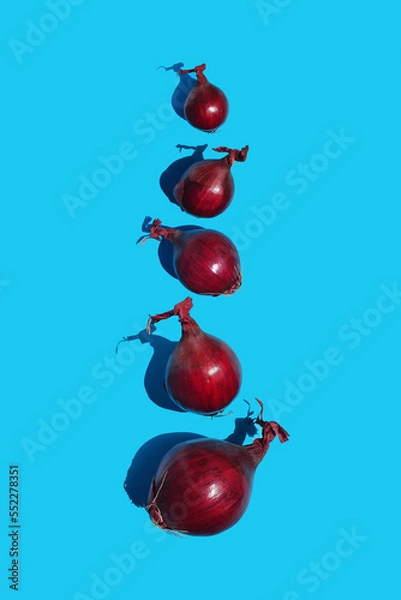 Fototapeta Red onion vertical composition on bright blue background. Top view flat lay composition. Minimal concept with harsh light and sharp shadow