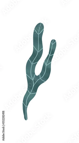 Obraz plants and flowers. magic sacred illustration in vintage retro engraving style