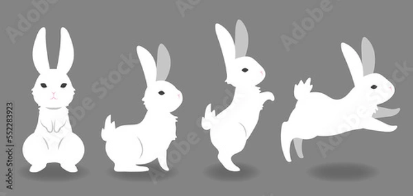 Fototapeta 白いうさぎ