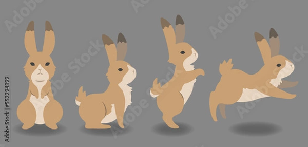 Fototapeta  茶色うさぎ