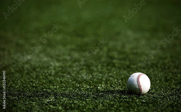 Fototapeta 야구이미지