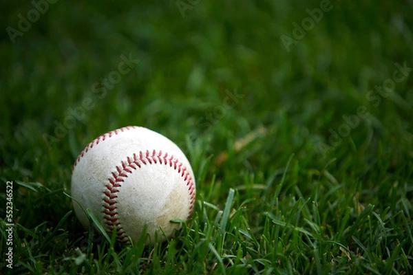 Fototapeta 야구이미지