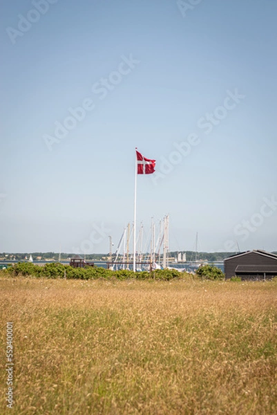 Obraz danish flag on the beach