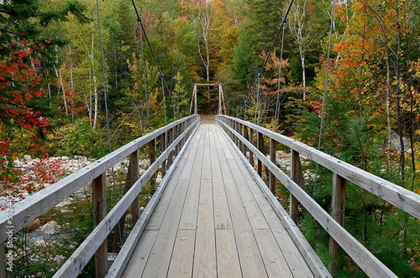 Obraz suspension bridge in forest