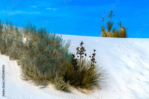 Obraz White Sands Landscape