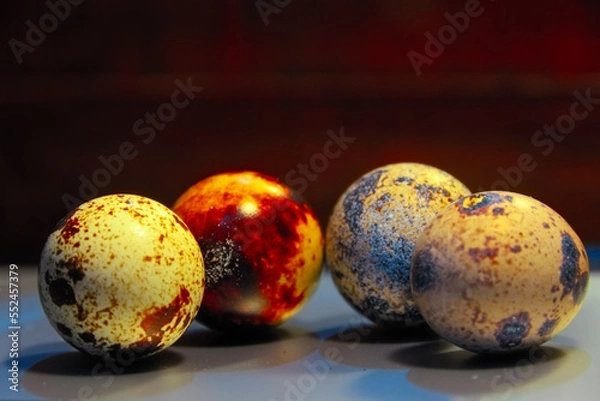 Fototapeta Quail eggs