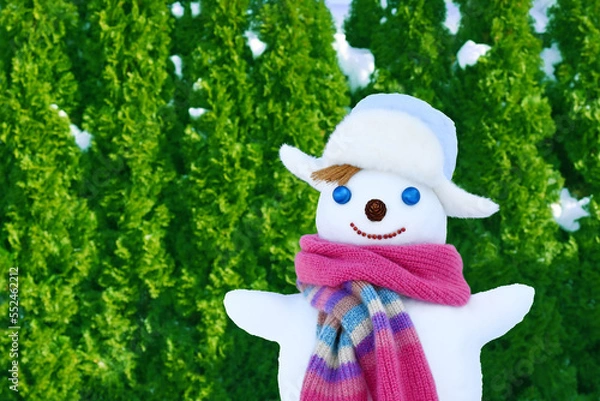 Obraz Snowman portrait