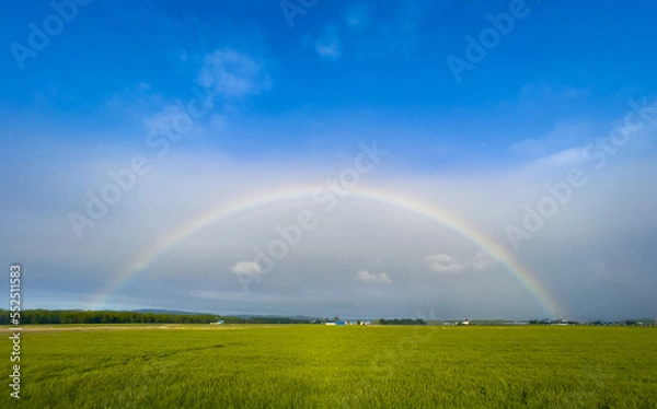 Fototapeta A huge rainbow that appeared on the plains