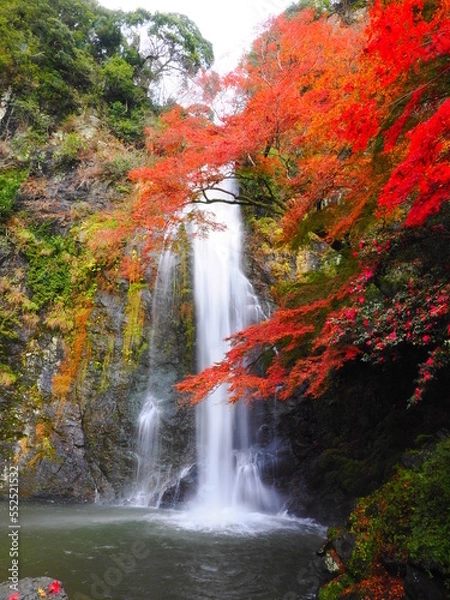 Obraz 箕面大滝と紅葉