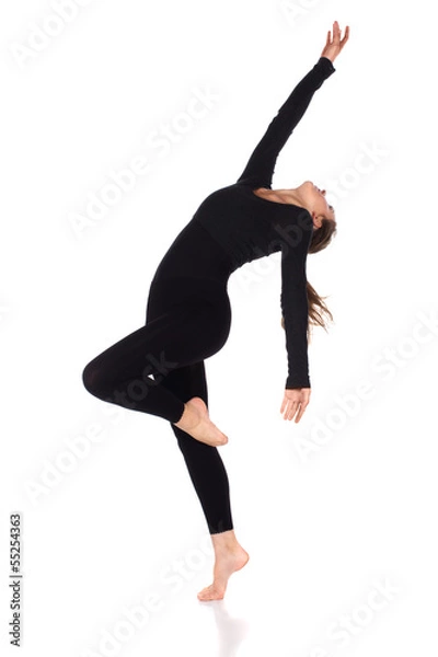 Obraz Beautiful female dancer