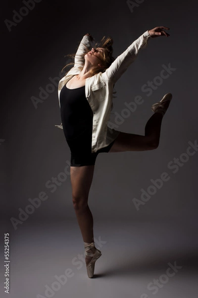 Obraz Beautiful female dancer