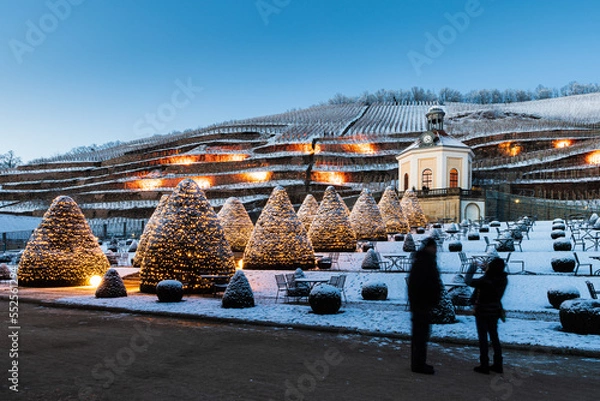 Fototapeta Weihnachtliche Stimmung im Park Schloss Wackerbarth, Radebeul