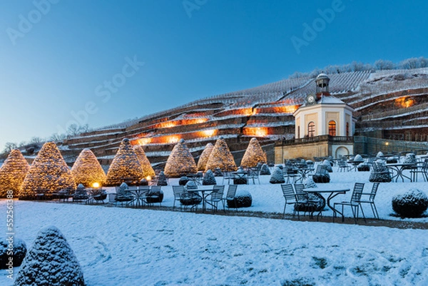 Fototapeta Weihnachtliche Stimmung im Park Schloss Wackerbarth, Radebeul