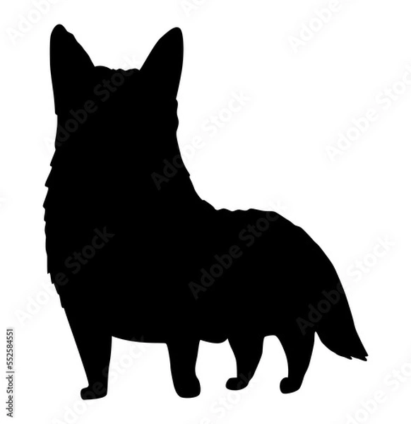 Fototapeta Dog silhouette, corgi breed. Side view pet stand icon in black color. Make used for dog show, competition, pet store, guide dog, veterinary, dog walking. Domestic animal isolated on white background