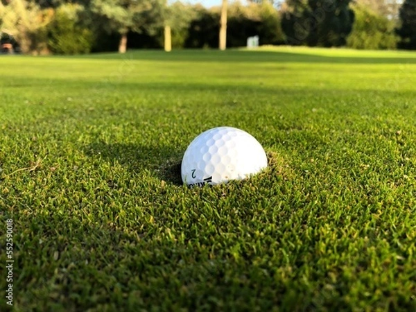 Obraz golf ball on green