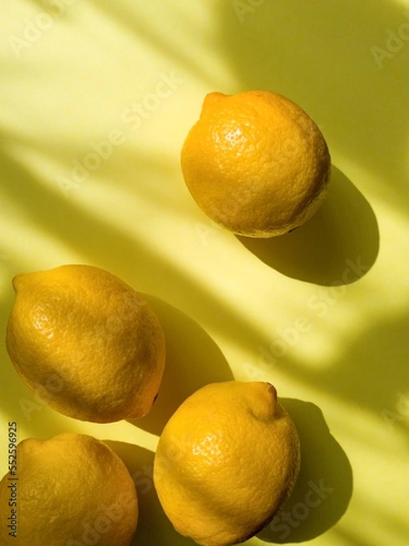 Fototapeta Composition with whole ripe yellow lemons on bright yellow blue background. Summer time flat lay with daylight and sharp shadows. Top view