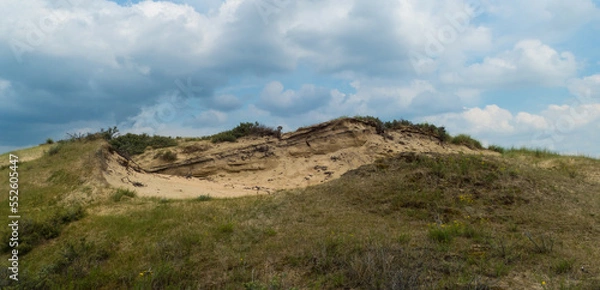 Fototapeta Dune Landscape Panorama Netherlands