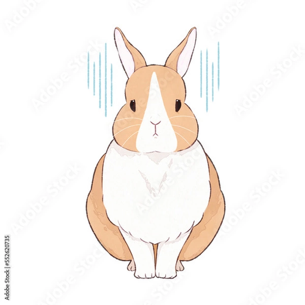 Obraz 茶うさぎ　ダッチ　表情（哀）